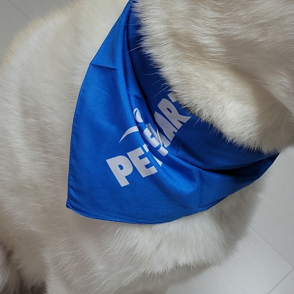 Petsmart Dog Handkerchief 🐕 - Picture 6 of 6